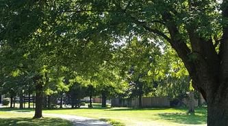 Peaceful park pathway in the Sherway community