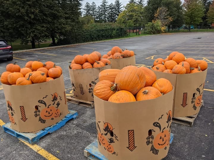 Pumpkins in branded boxes at the Sherway Pumpkin Giveaway & Food Drive
